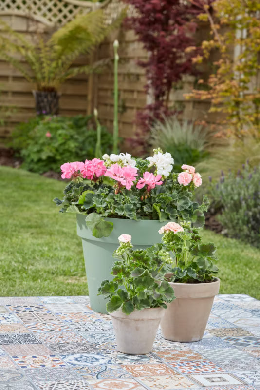 Pottemuld til Pelargonier Tørvefri 50 Liter
