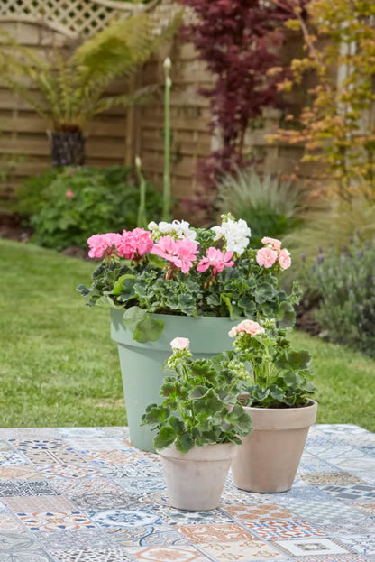 Pottemuld til Pelargonier Tørvefri 50 Liter