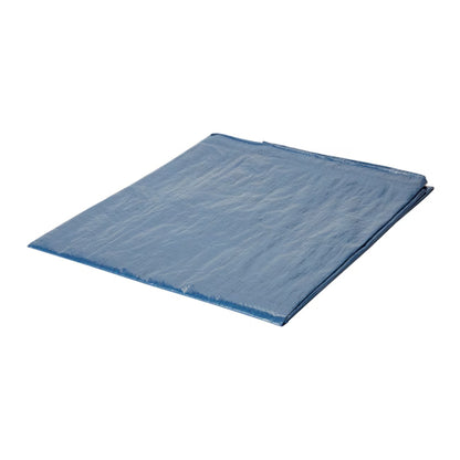 Presenning 2x3 m 70 g/m² Blå