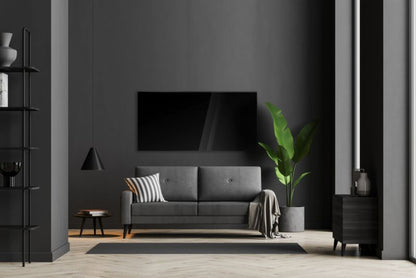 Infrarødt Glaspanel EGPS-650C 100x60 cm 650W Sort WIFI | 5905669010528