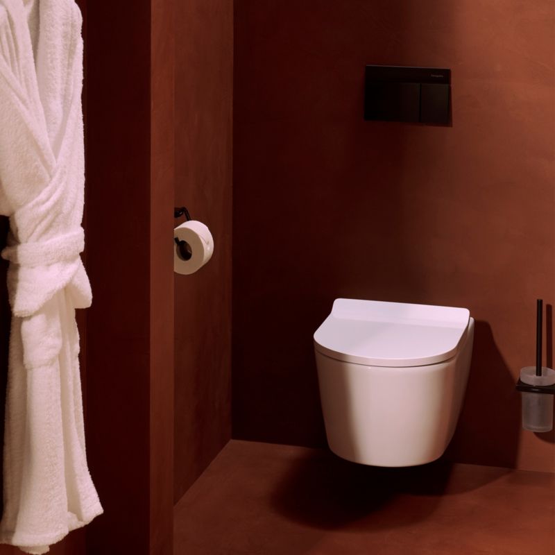 Toiletskylleknap iFrame Element E Sort Mat Rustfrit Stål | 66003670