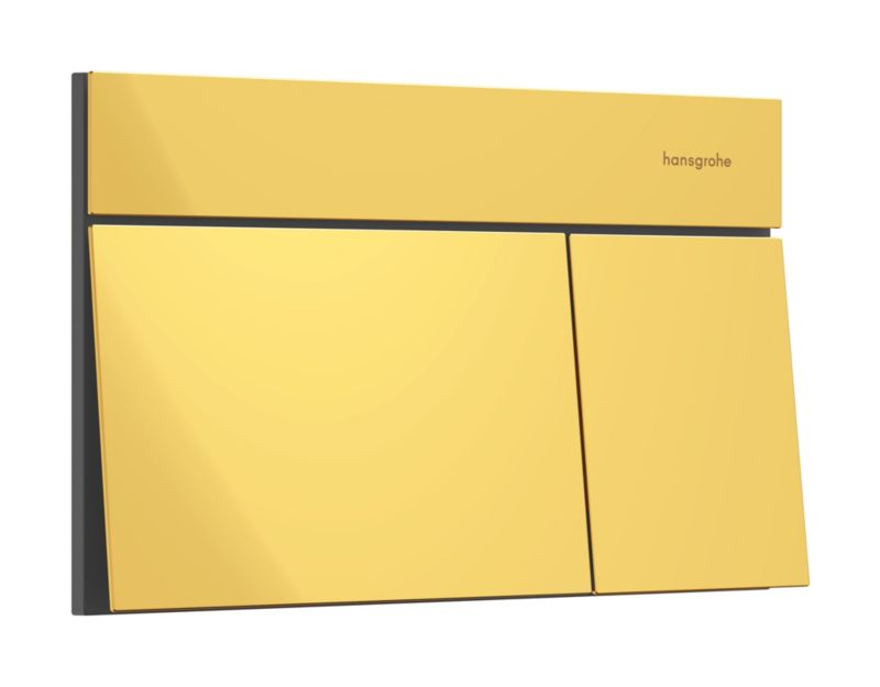 Toilet Skylleknap iFrame E Guld 230x150 mm