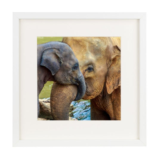 BD art kvadratisk billedramme 30x30 cm hvid 1 stk.