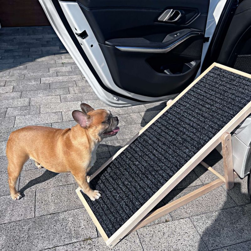 Springos trærampe til hund med justerbar højde, 3-trins skråplan, 1 stk.