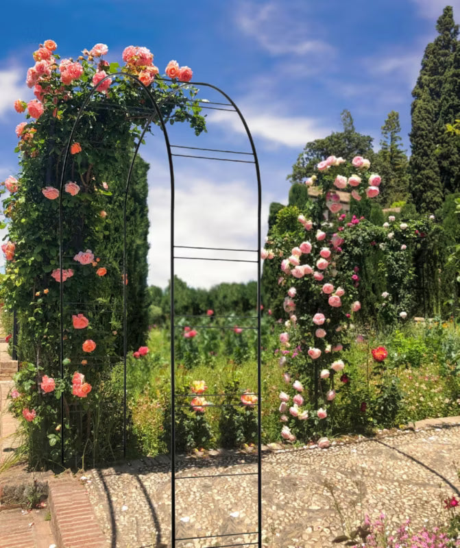 Rosenbue Pergola 255 cm Sort Stål