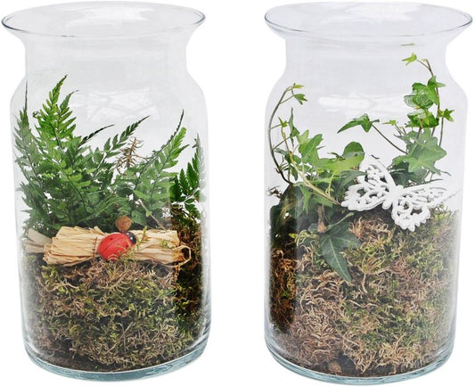 Plante i glasbeholder 1011
