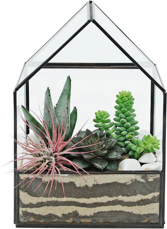 Plante-mix i terrarium i form af hus