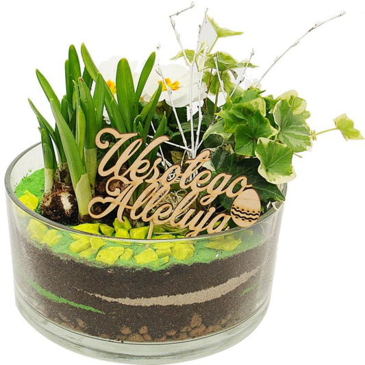 Planter i glasfad 21 cm