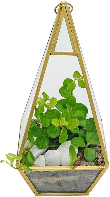 Planter i hængende terrarium S