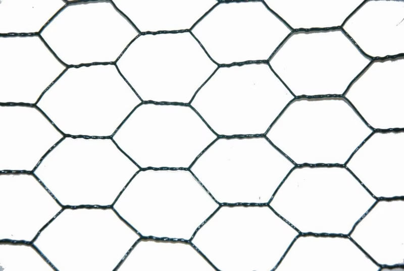 Sekskanthegn 0,5x10 m Grøn PVC-belagt Stål | 12660BQ