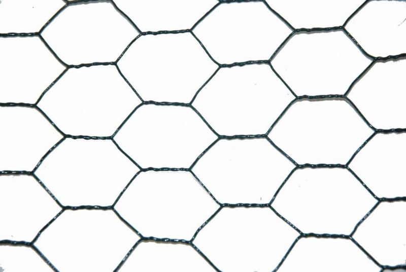 Flettet havehegn Blooma 1 x 10 m i PVC-belagt stål