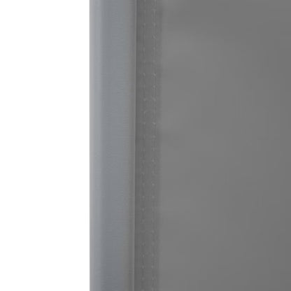 Sidemarkise 300x200 cm Antracit