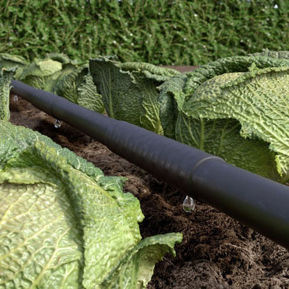 Siveslange 50 m Rainjet 1/2"