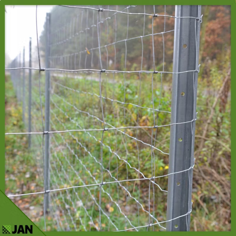 Skovhegn 100/8/30 L 100 m Galvaniseret Stål