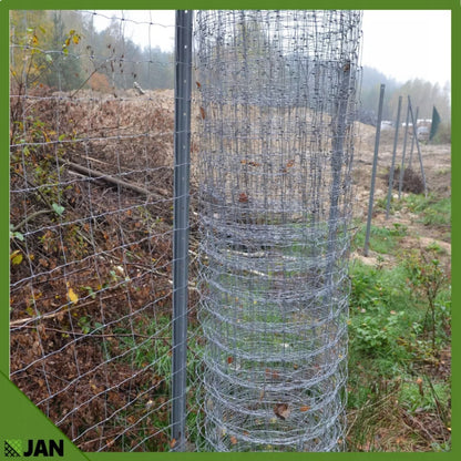 Skovhegn 50 cm x 50 m Galvaniseret Stål Sølv