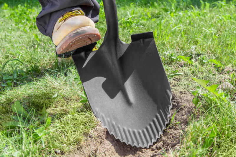 Spids Spade T-rex 115 cm Takket Klinge