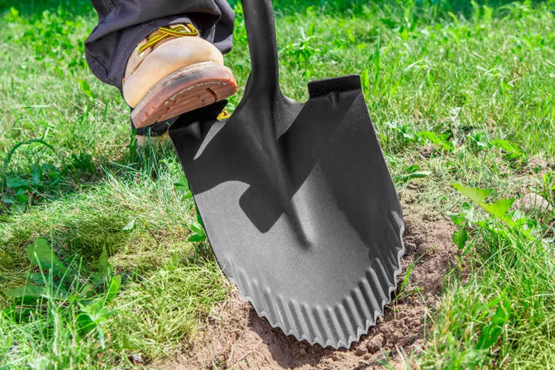Spidsspade T-Rex 115 cm Træskaft