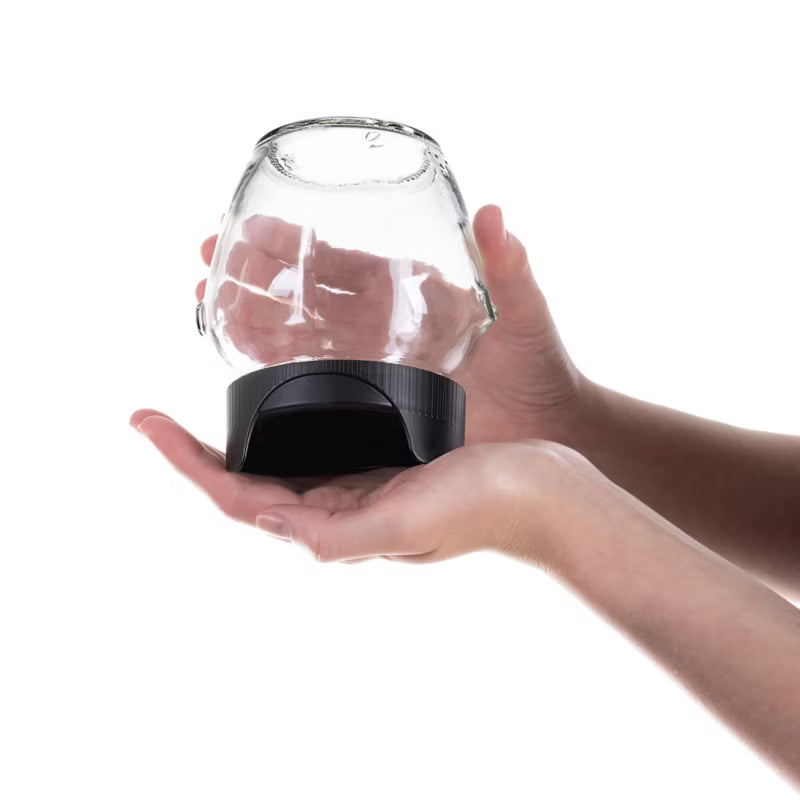 Kirsebærsæt Spireglas 510 ml med Frø