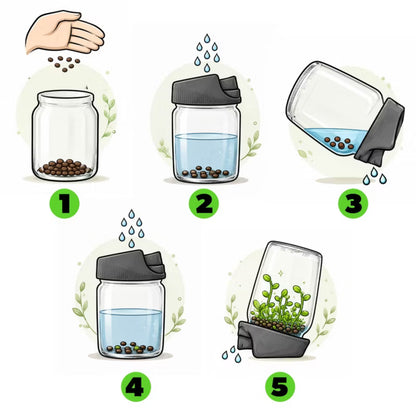Spireglas 720 ml 3 Stk. med Frø