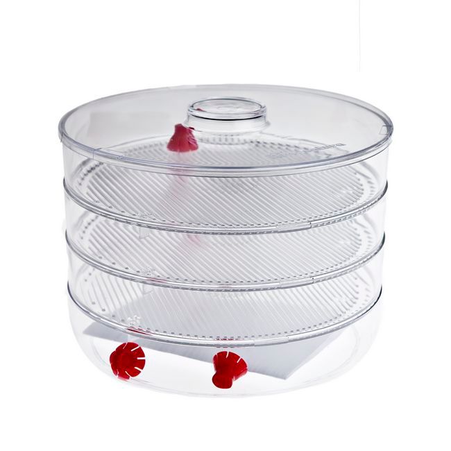 Spireglas med 3 Bakker Transparent