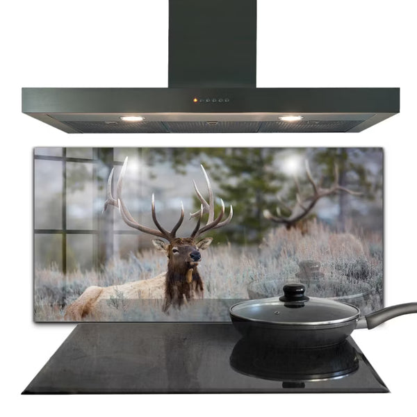 Stænkpanel 100x50 cm Vild Natur Glas