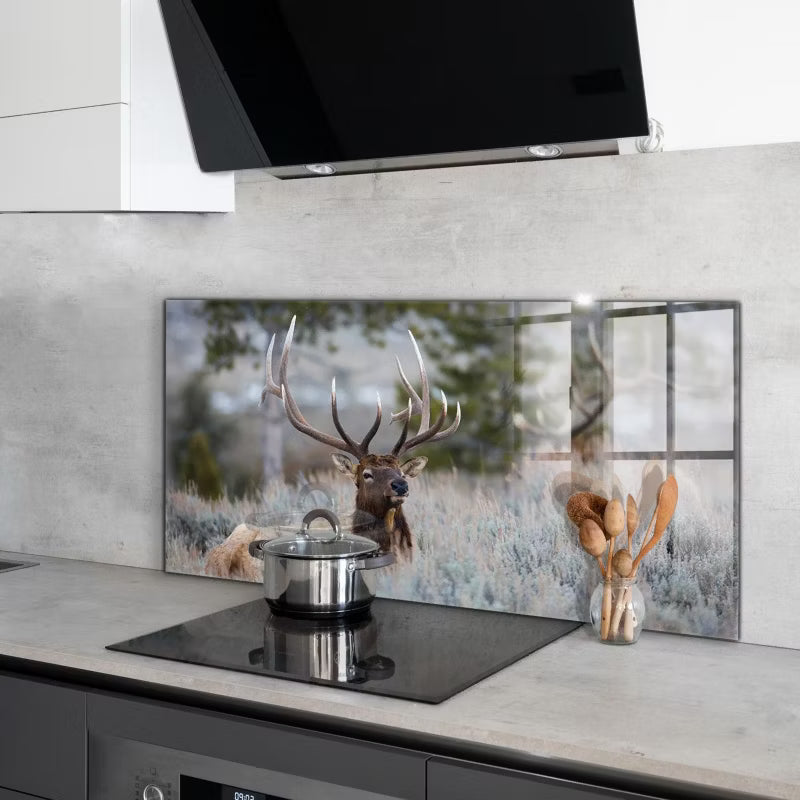 Stænkpanel 100x50 cm Vild Natur Glas