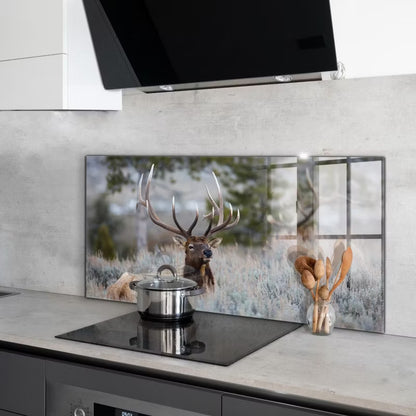 Stænkpanel 100x50 cm Vild Natur Glas