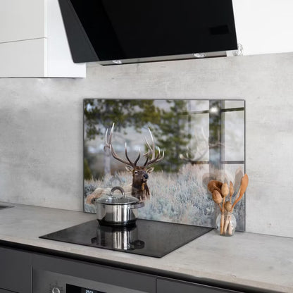 Stænkpanel 100x70 cm Hærdet Glas Vild Natur