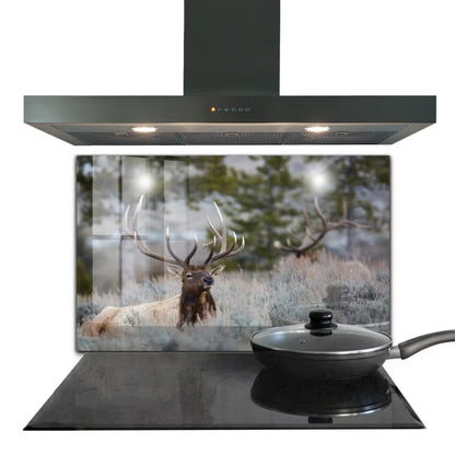 Stænkpanel 100x70 cm Hærdet Glas Vild Natur