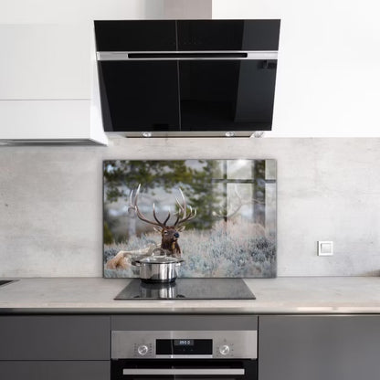 Stænkpanel 100x70 cm Hærdet Glas Vild Natur