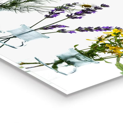 Stænkpanel Glas 100x50 cm Naturalne Zioła