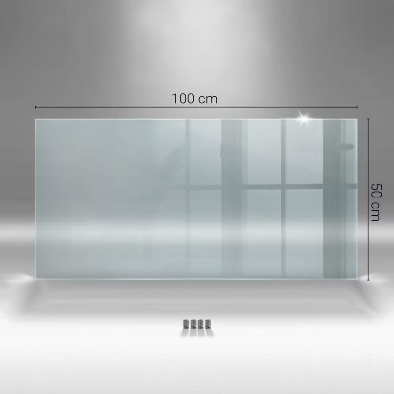Stænkpanel Glas 100x50 cm Transparent med Punktbeslag