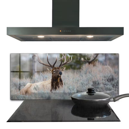 Stænkpanel Glas 125x50 cm Vild Natur