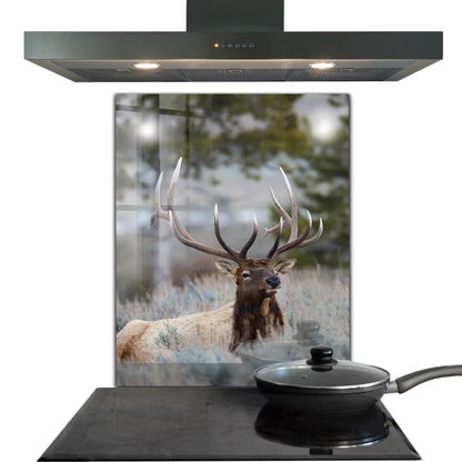 Stænkplade Glas 60x80 cm Dzika Przyroda