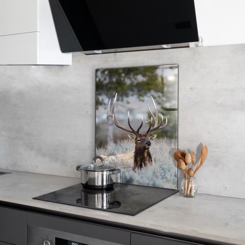 Stænkplade Glas 60x80 cm Dzika Przyroda