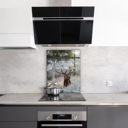 Stænkplade Glas 60x80 cm Dzika Przyroda