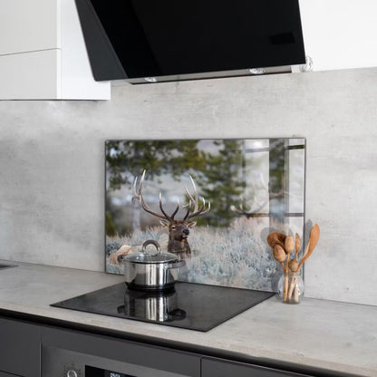 Stænkplade Glas 80x60 cm Dzika Przyroda