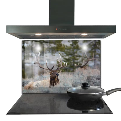 Stænkplade Glas 80x60 cm Dzika Przyroda
