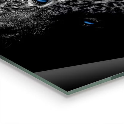 Stænkplade Glas Mørk Panter 100x50 cm Sort