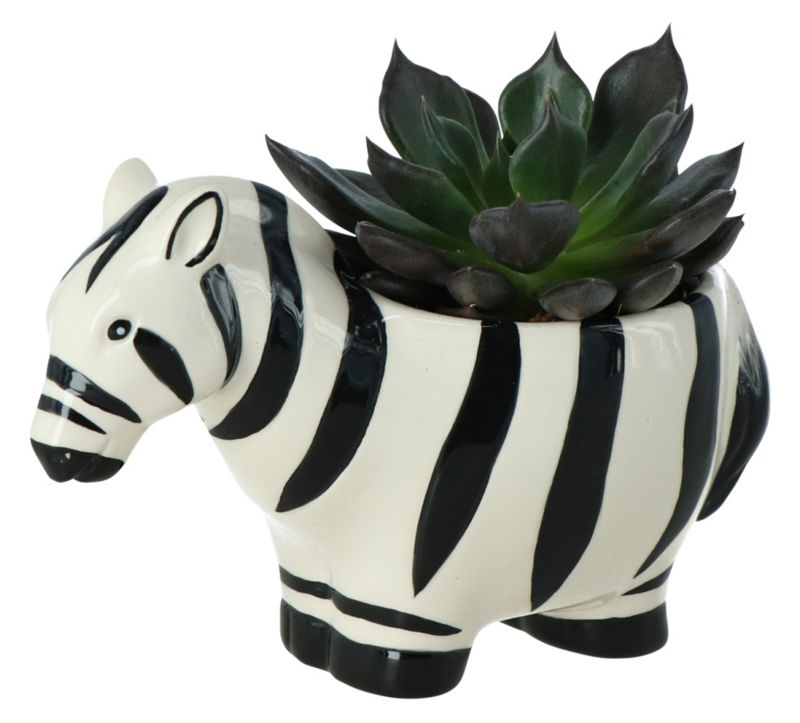 GoodHome sukkulent i zebra‑mønstret potte 7 cm