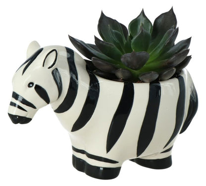 GoodHome sukkulent i zebra‑mønstret potte 7 cm