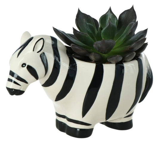 GoodHome sukkulent i zebra‑mønstret potte 7 cm