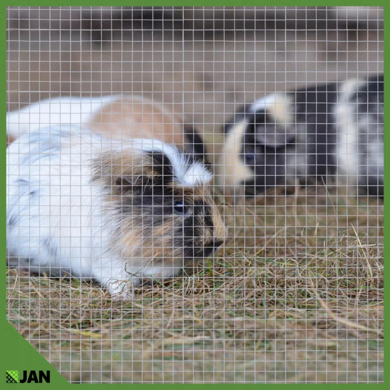 Svejset Trådnet Mod Gnavere 10x10 mm 1x25 m Galvaniseret Stål 25 m²