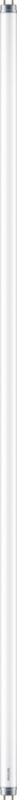 LED-rør Philips T8 G13 1200 lm 3000 K