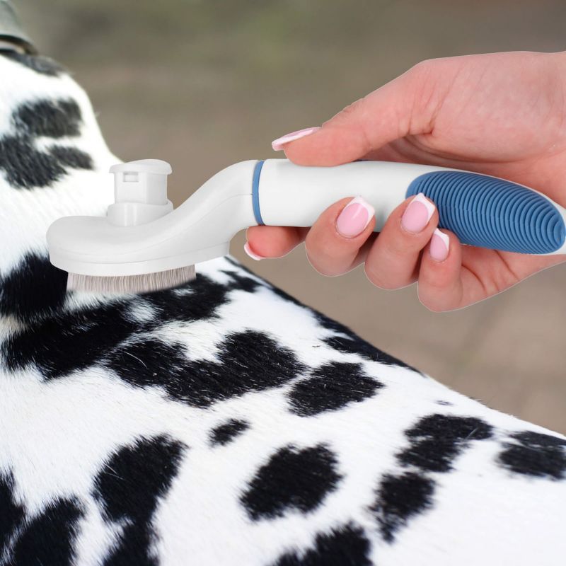 Springos selv-rensende stålbørste til pelspleje til hund og kat, hvid-blå, 1 stk.