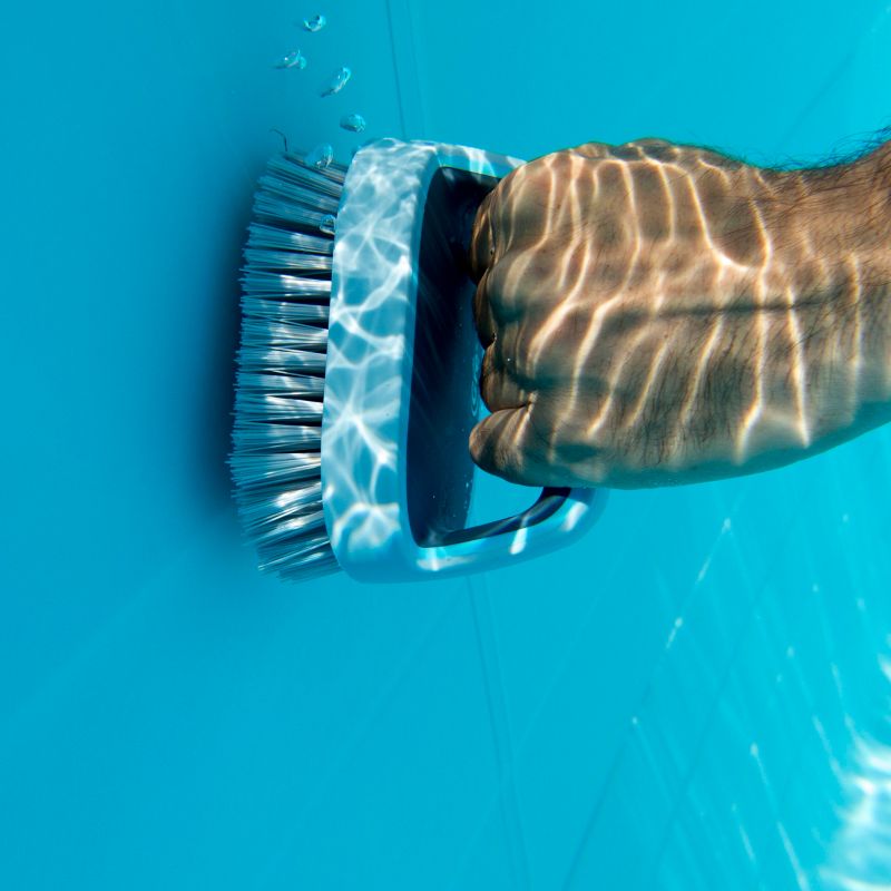 Graphite håndbørste til pool