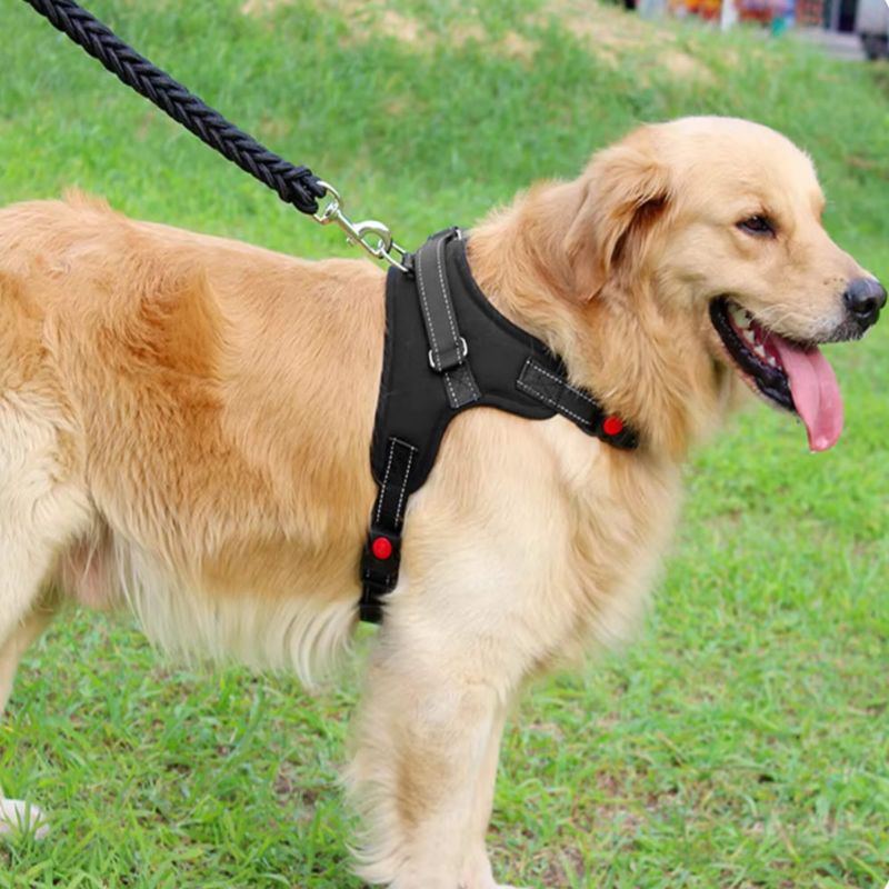 Trykfri sele til hund Springos str. L 36-55 kg justerbar sele sort 1 stk.