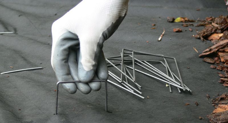 KADAX pæle til fastgørelse af fiberdug 12 cm, 50 stk.