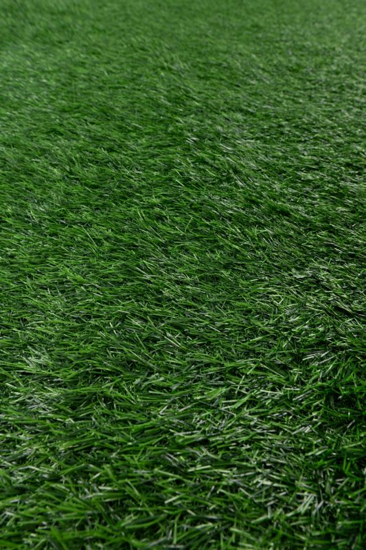 Kunstgræs Allgreen 30 mm 2 m Grøn 1,44 m²