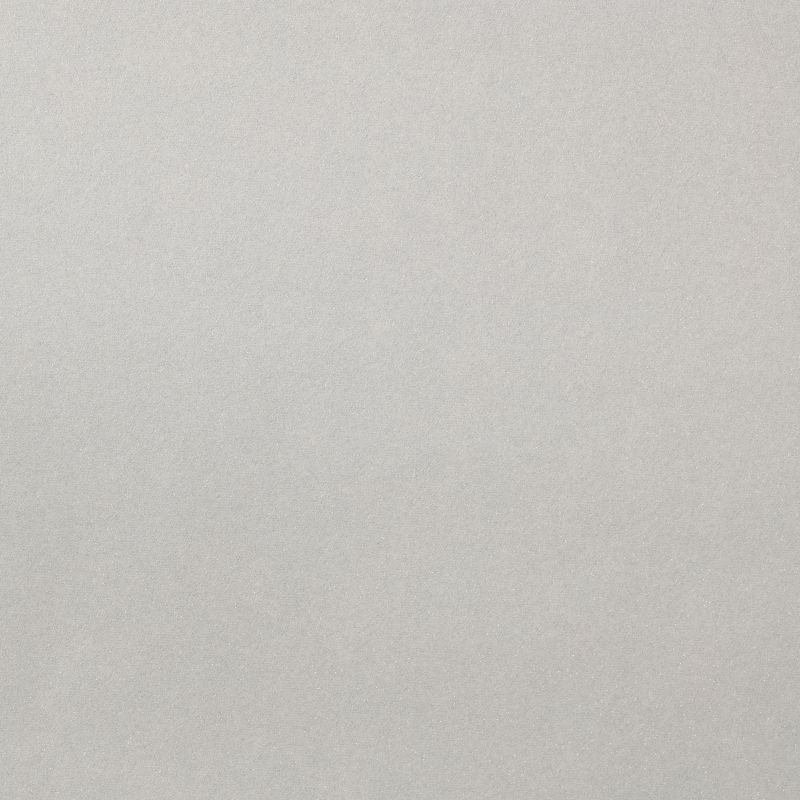 Vinyltapet på nonwoven Recy lysgrå